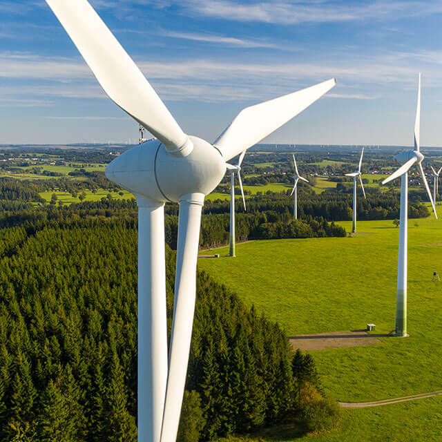 A series of wind turbines nestled amongst trees in a country side