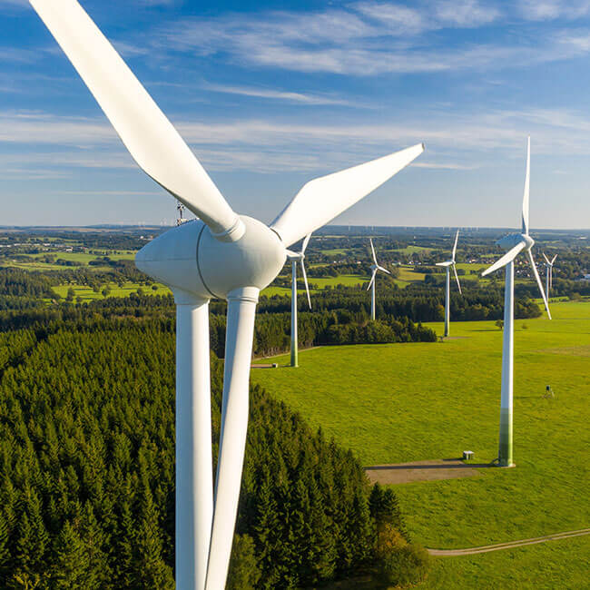 A series of wind turbines nestled amongst trees in a country side