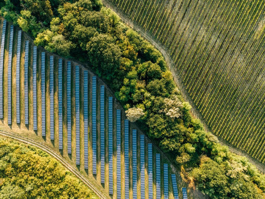 Image of a solar farm in a field.